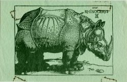 1968 Rhinoceros